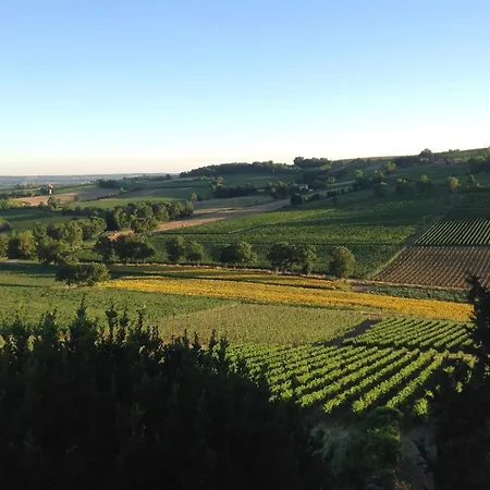 Chateau De Mauriac