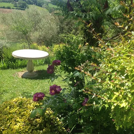 Chateau De Mauriac Bed & Breakfast Senouillac