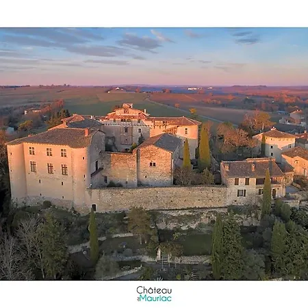Chateau De Mauriac 4*