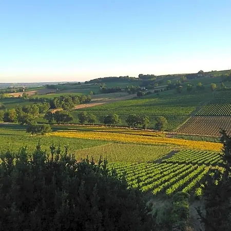 Chateau De Mauriac 4*